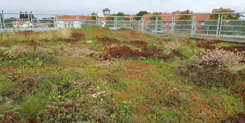 / uva. Viherkattorakenteita voidaan asentaa esi. pihakennuksien katoille.. Rakentaisen aikainen hulevesien hallinta Oletettavasti suurin kuoritus vesiin aiheutuu rakentaisen alkuvaiheessa työailta.