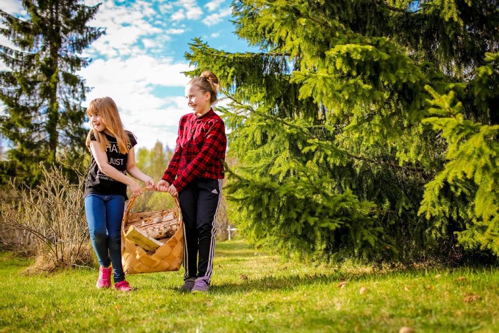 TOIMIJAT VERKOSTOSSA Yrittäjä / toimija voi olla majoituskohde ruokapaikka tapahtuma