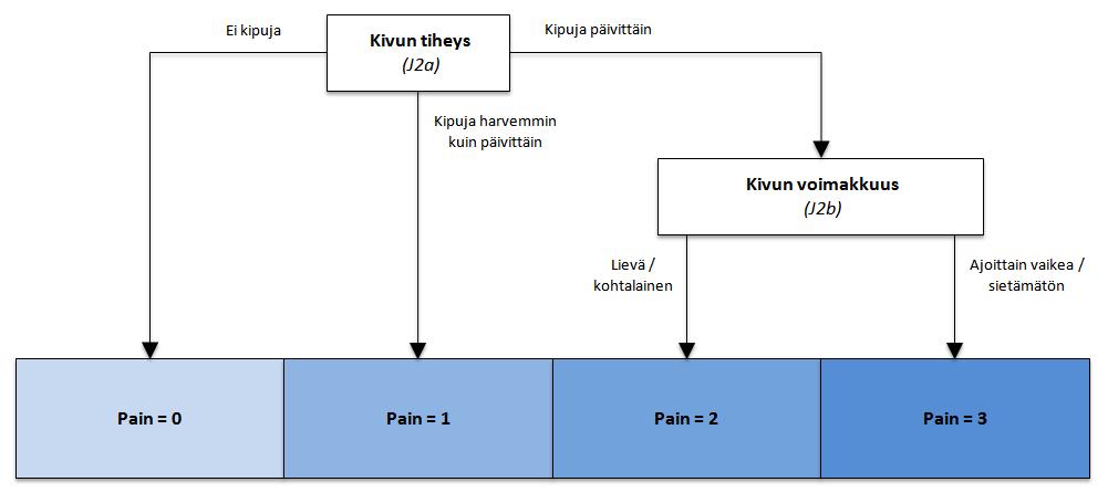 Kipuasteikko (Pain, 0-3) Asiakkaan kivun tiheyttä (J2a) ja kivun voimakkuutta (J2b) kuvataan neliportaisen luokituksen mukaan. Lähde: Fries BE, Simon SE, Morris JN, Flodstrom C, Bookstein FL.