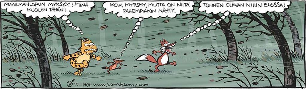 Työkyvyttömyyseläke Asianmukaisesta hoidosta ja kuntoutuksesta huolimatta työkyvyttömyys on arvioitavissa pysyväksi Sairaudesta johtuva sairausperusteet oltava (myös
