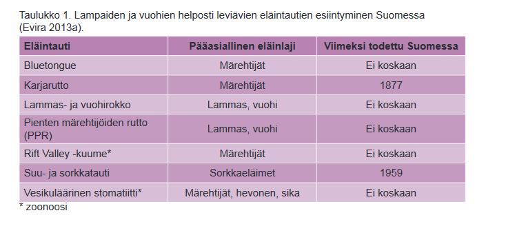 - Huolellinen kuivitus, kosteuden ja vedon välttäminen navetassa. - Sarvien sahaaminen tai nupouttaminen. - Eläinten harkittu ryhmittely. - Sopiva eläintiheys ja riittävästi ruokintapaikkoja.