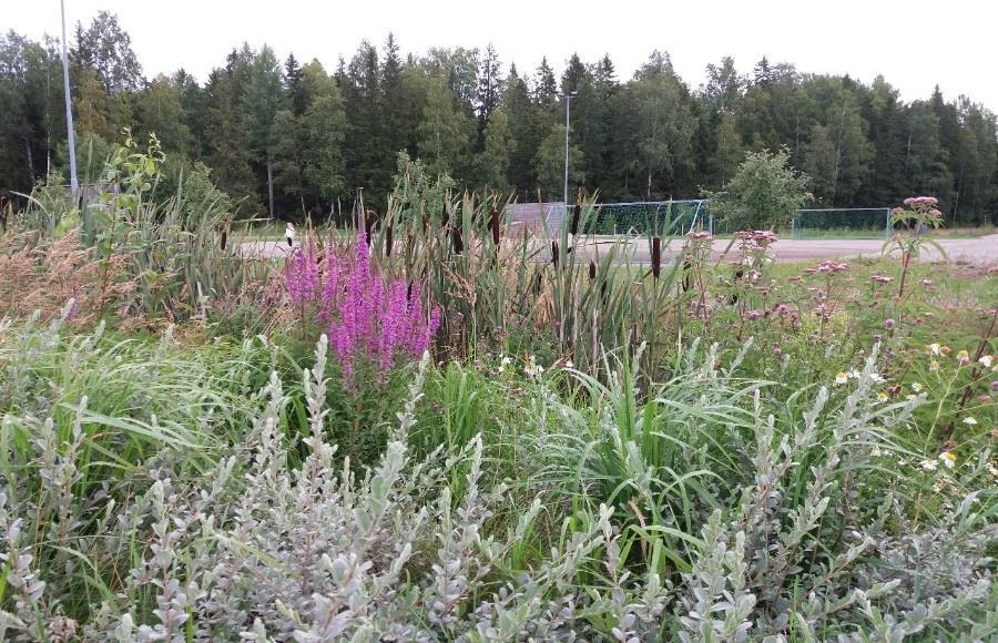 Luontoperustaiset Järjestelmät Tavoitteena Kehittää yhdessä asukkaiden kanssa hulevesien hallintaa Kehittää