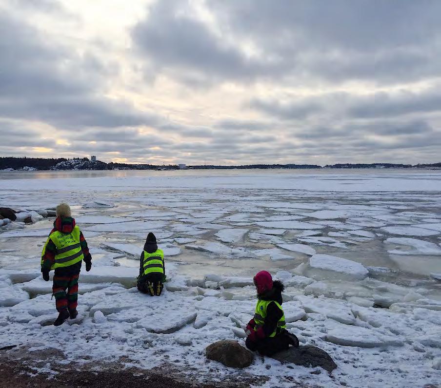 ympäristön ihastelua Puiden