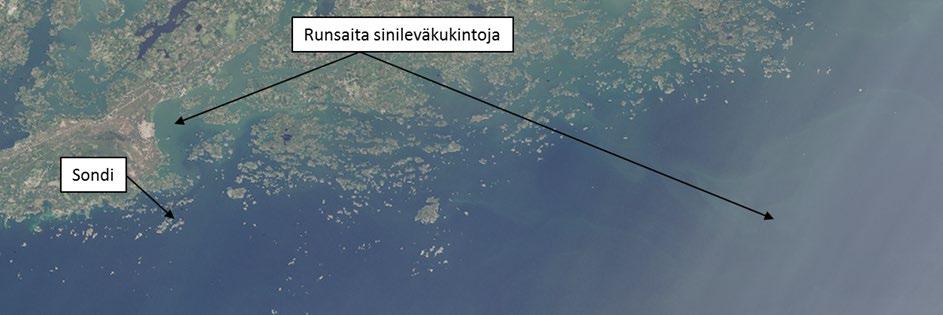 Kuva 12. Esimerkki sinileväkukintojen sattumanvaraisesta esiintymisestä Hankoniemen ja Inkoon välillä 29.8. 2018. Sinilevälautat liikkuvat virtausten ja tuulten vaikutuksista.