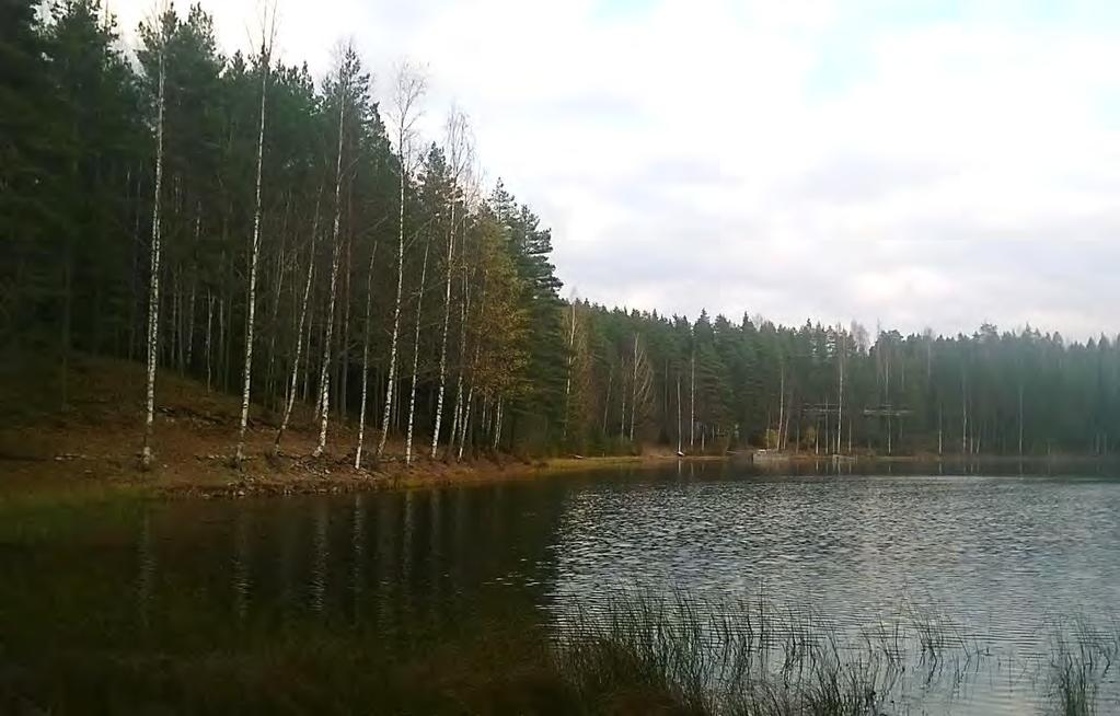 GEOLOGIAN TUTKIMUSKESKUS Geologinen rakenneselvitys 17 Julkujärven vedenottamon ympäristössä pohjavedenpinta on laajalla alueella noin tasolla + 143 146 m mpy.