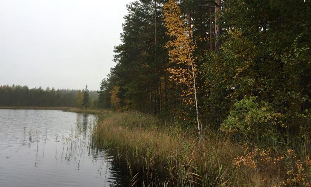 KANKAANPÄÄN KAUPUNKI Kankaanpään kaupungin