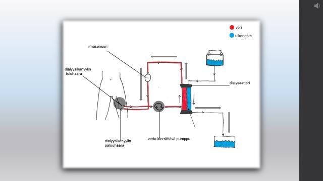 7. Hoitoa varten potilaalle tehdään veritieyhteys ja verenkiertoon kytketään filtraatiolaite. Laskimosta veri kiertää mekaanisen pumpun avulla dialysaattoriin.
