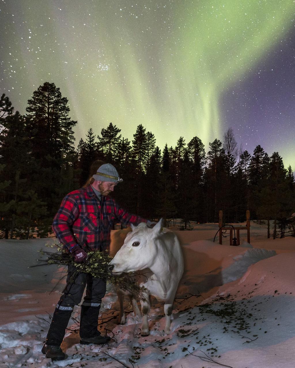 omaleimaisuuden hyödyntäminen Päivi