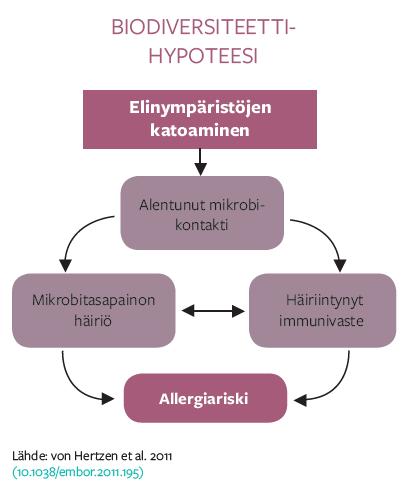 https://areena.yle.