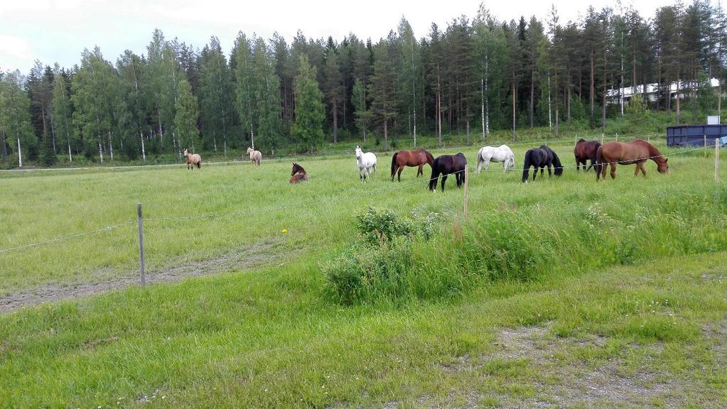 Hevostilojen ympäristöopas 2018 Ylä-Savon SOTE