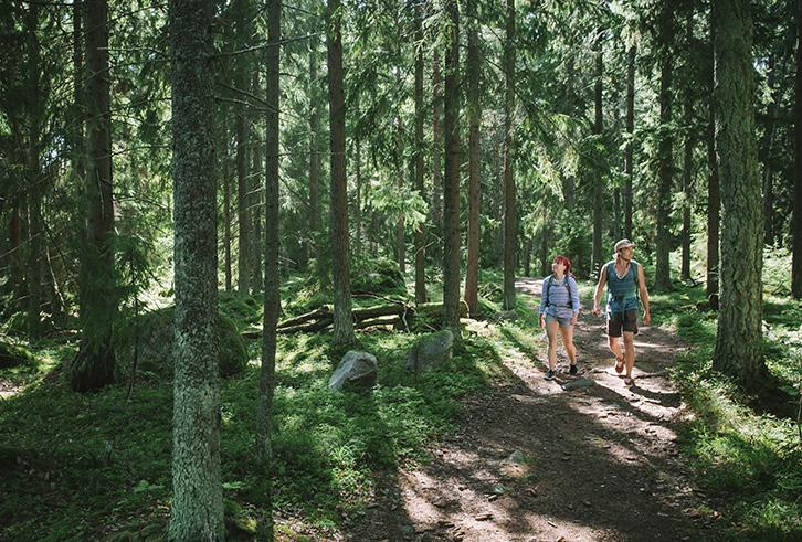 HELSINKI LIIKKUU HELSINKI LIIKKUU Rastila täynnä toimintaa Viiden tähden leirintäalueella Rastila Camping Helsingissä kirjataan vuosittain noin 100000 yöpymisvuorokautta, mutta alueella riittää