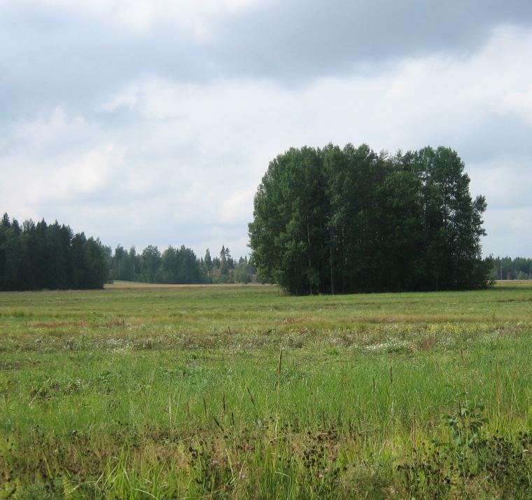 Heinojan uoma kosteikkoineen rajaa aluetta luoteessa.