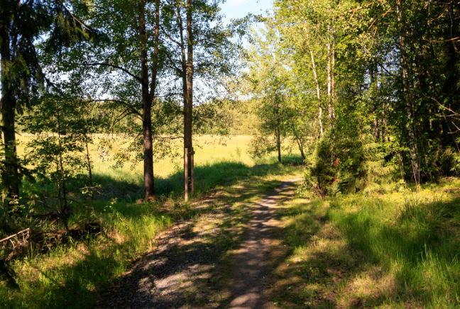 Vain osa maanomistajista on kuitenkin kaavahankkeen käynnistyttyä osoittanut kiinnostuksensa kehittää kiinteistöjään, joten kiinteistöt jäävät pääosin kaava-alueen ulkopuolelle.