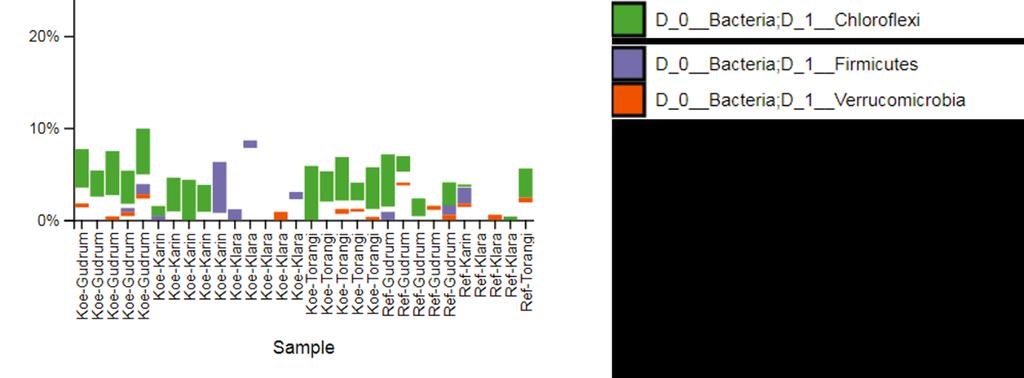 Tarkastellut bakteeriryhmät Kolmen bakteerien pääjakson, Chloroflexi, Firmicutes ja Verrucomicrobia