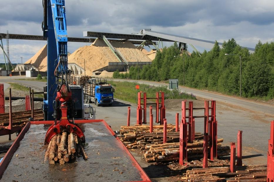 OTANTANIPPUJEN MITTAUS - Otantanipuista mitataan paino ja tilavuus upotusmenetelmällä TUORETIHEYS -