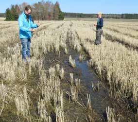 KUIVATUS KUNTOON PELTOLOHKO KERRALLAAN 53 Kuva 71. Syksyllä 2017 ja keväällä 2018 lohko oli erittäin märkä myös suoraan imuojan päältä. Lohkolla maan vedenläpäisykyky oli huono.