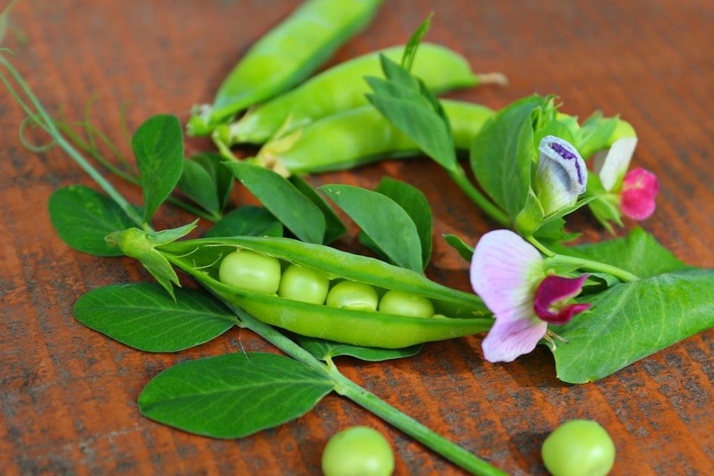 Vesa Tiensuu ja Tommi Ylimäki Des pois