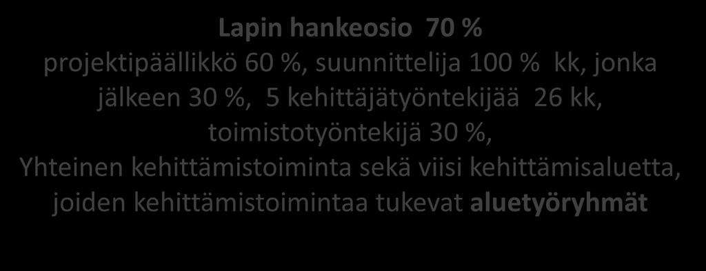 30 % osa-aikainen