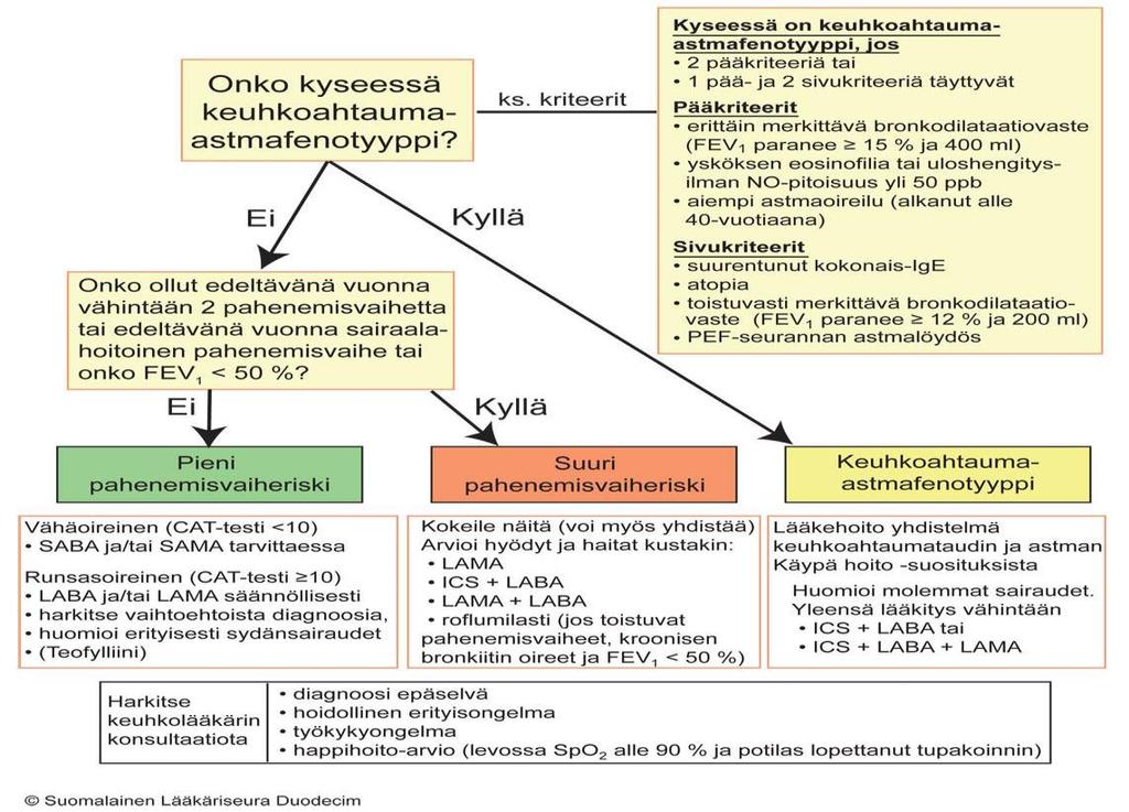 5 fenotyyppiin, jossa sairaudessa yhdistyy astman sekä keuhkoahtaumataudin piirteitä. KUVIO 2. Keuhkoahtaumataudin fenotyypit (Saarinen 2015.