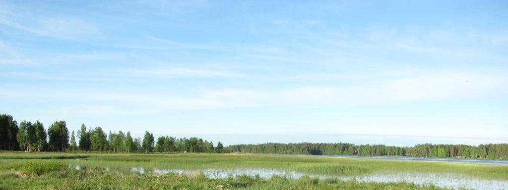 17 Kuva 9. Petäjäniemen pohjoispuolinen, vesikasvillisuuden peittämä lahdelma on tärkeä vesilintujen pesimisympäristö. Itäpuolella oleva loivarantainen tulvapelto vastaavasti on mm.