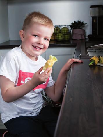 Pelkkää puutarhajätettä voi kompostoida myös kehikossa tai avokasassa. Biojäteastia Omakotitalot voivat myös liittyä biojätteen erilliskeräykseen alueella, jossa kerätään biojätettä.