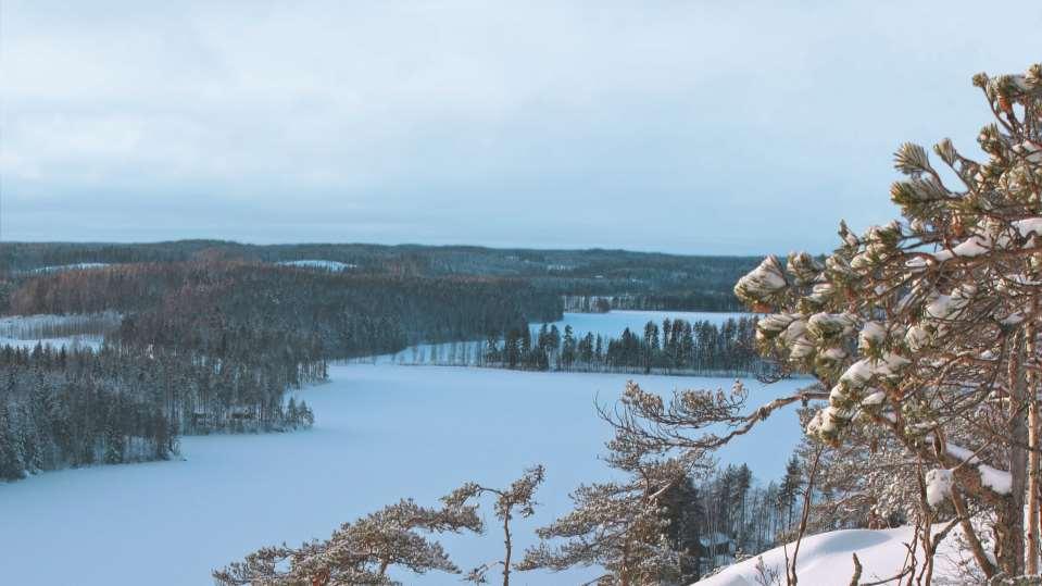 Luontotyyppien uhanalaisuuden arviointi Tytti Kontula Suomen