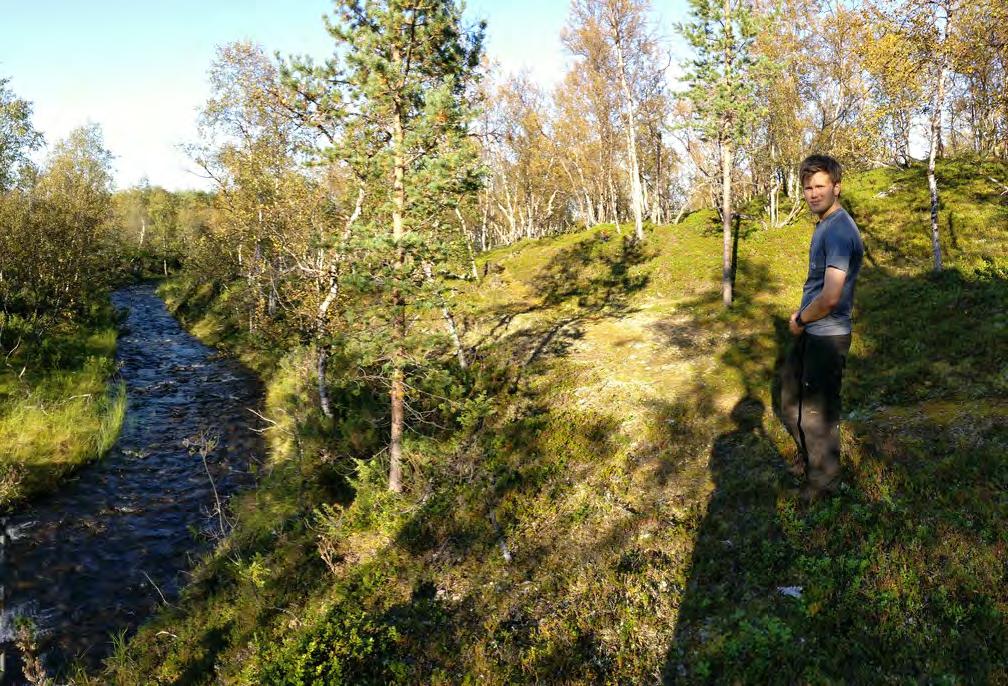 olevan ajan samaan aikaan vähentyessä, tulevat potentiaaliset matkailijat etsimään tietoa lähteistä, jotka voimistavat heidän elämyksiään ja vähentävät heidän mahdollisuuksiaan pettymyksiin (Reino &