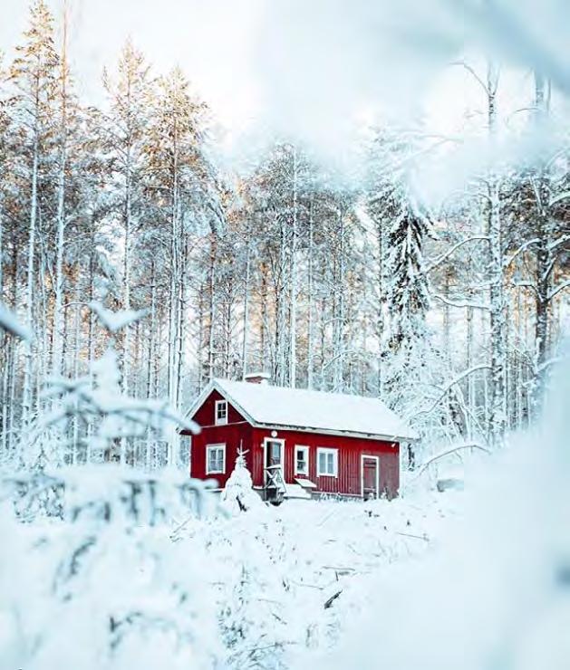 Osasyynä ihmisten vähäiseen määrään kuvissa on se, että Visit Finladin brändiin sopivia kuvia, joissa on ihmisiä, on harvoin tarjolla (Terho 2018).