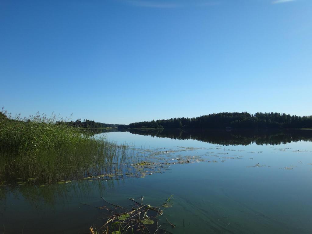 Vesien ekologinen tila Ympäristöhallinto tulee arvioimaan Suomen pintavesien ekologisen tilan tänä vuonna (edelliset 2008 ja 2013) Tavoite: kaikki pintavedet