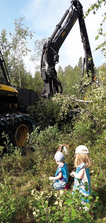 Yhdysvaltojen talouskasvu on jatkunut vahvana pidempään kuin muissa maissa.