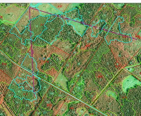 Suomen metsäkeskus Raportti 7 (13) myös ylispuukuvioiden laatua kuvioittaisella arvioinnilla ja tallentamalla tiedot Trestimalla laatukuvioiksi. - Luontokuviot (tietolähde 30->).