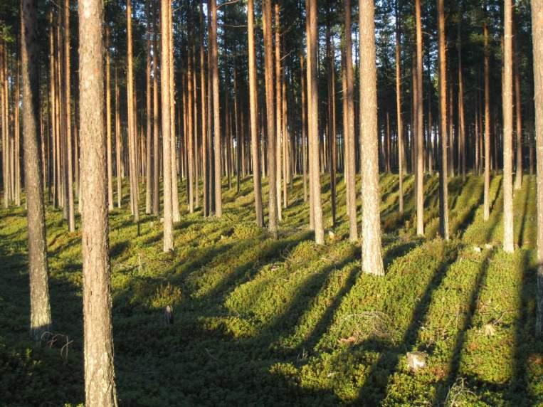 ympäristökeskus Kokkolan kaupunki Kaustisen kunta Kokkolan Vesi Kannuksen