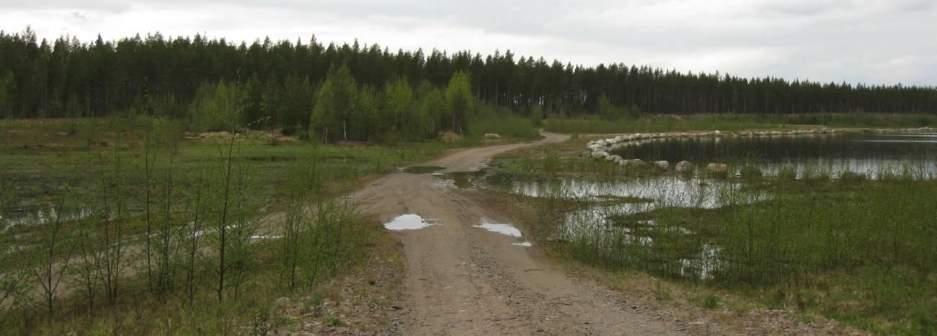Alueen poikki kulkee tie. Pohjavesi on lähellä maanpintaa ja pohjavesi virtaa tien ylitse lammikoista suurempaan lampeen (kuva 8.2.6).