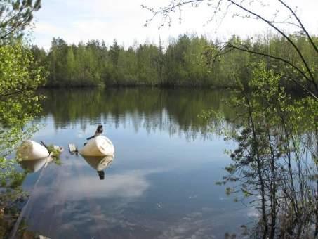 SOKKA21tutkitun vedenottopaikan 8 (1986) ja vuonna 1958