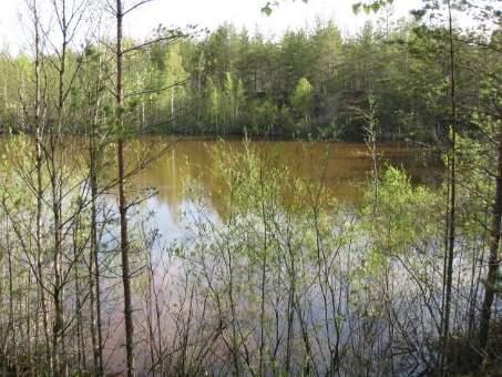 SIIVILÄ3 (2011) ohjeellisella lähisuojavyöhykkeellä (liite 10.
