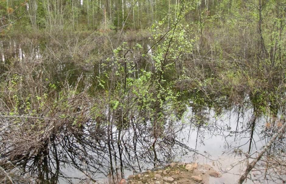 149 Hietaseljänharju Hietaseljänharjun vielä käyttämättömän vedenottamon ohjeellisella lähisuojavyöhykkeellä on kaksi vanhaa soranottoaluetta (liite 10.e).