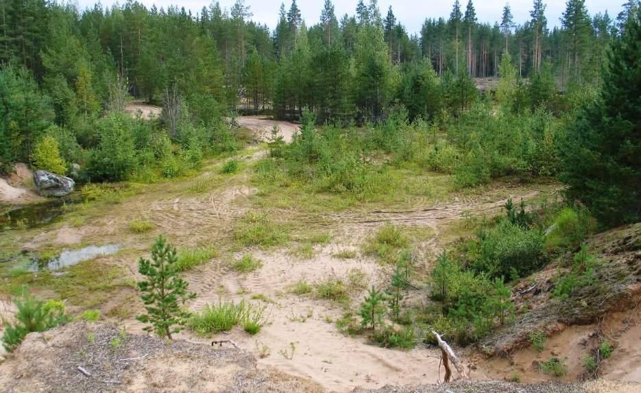 151 kyjen pesiä, voidaan rintaukset jättää loiventamatta, jotta pesät eivät tuhoudu. Pesiä ei saa hävittää pesinnän aikana. Kotitarveotto alueilla tulee lopettaa.