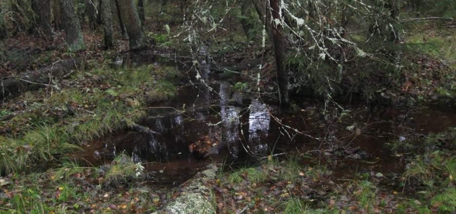 34 delle saakka. Suurimmassa osassa kairauksia ei päästy yli 6 metrin syvyyteen.