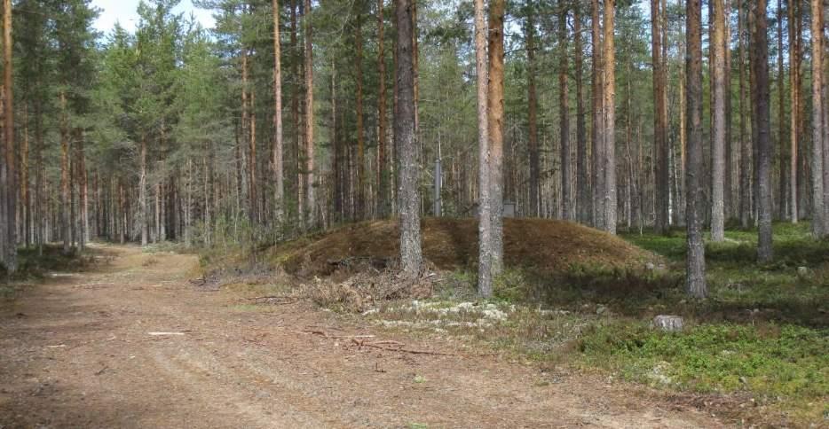 40 Ottamon kohdalla on tehty vuonna 1997 koepumppaus, jonka mukaan kaivosta voidaan ottaa vettä jatkuvasti noin 300 m 3 /d. Ottomäärä on ollut viime vuosina noin 130 220 m 3 /d. Kuva 3.10.