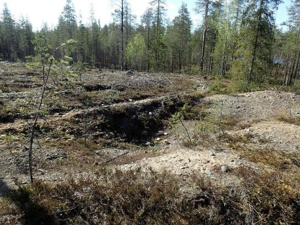 Tulos Saunalahdessa lidar aineistosta havaittu tervahauta osoittautui sellaiseksi kyseessä on