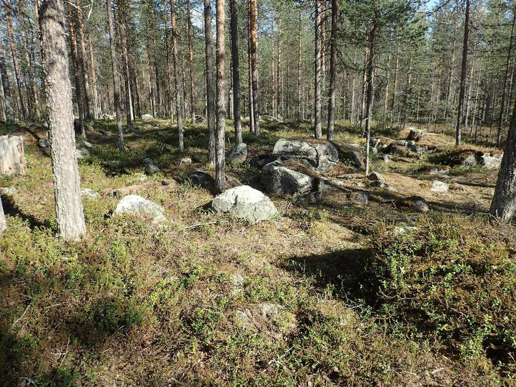 14 Lähteet Painetut lähteet KUUSAMO Blatt Nr. C4. Anschlubß Blatt Nr. D 4 KAJAANI. Finnland 1:300 000. Sonderausgabe II. 1940. Topografinen kartta 1:20 000.