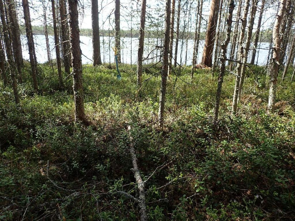 tehdystä koekuopasta. Länsiluoteeseen.