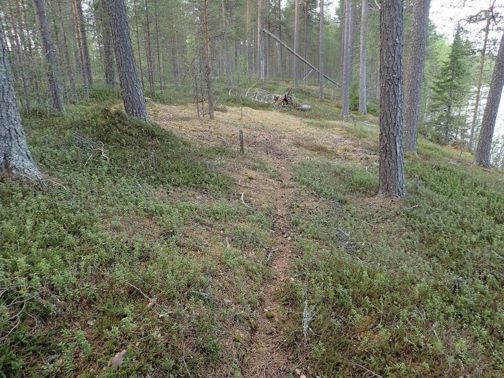 7 Suunniteltujen rakennuspaikkojen