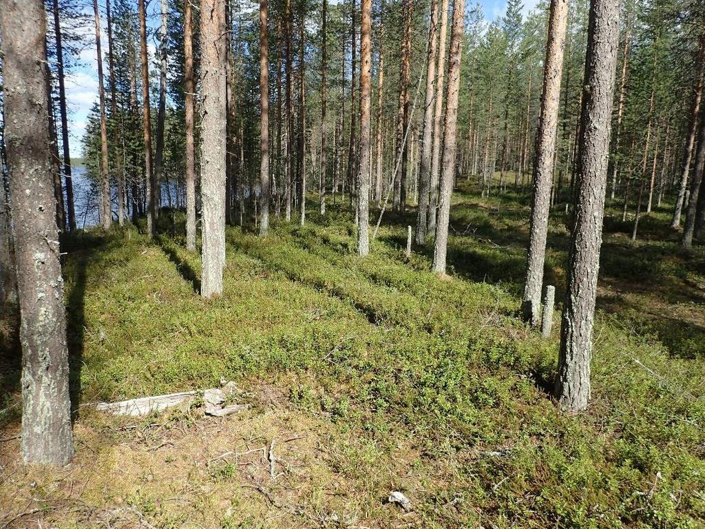 Etelälounaaseen.