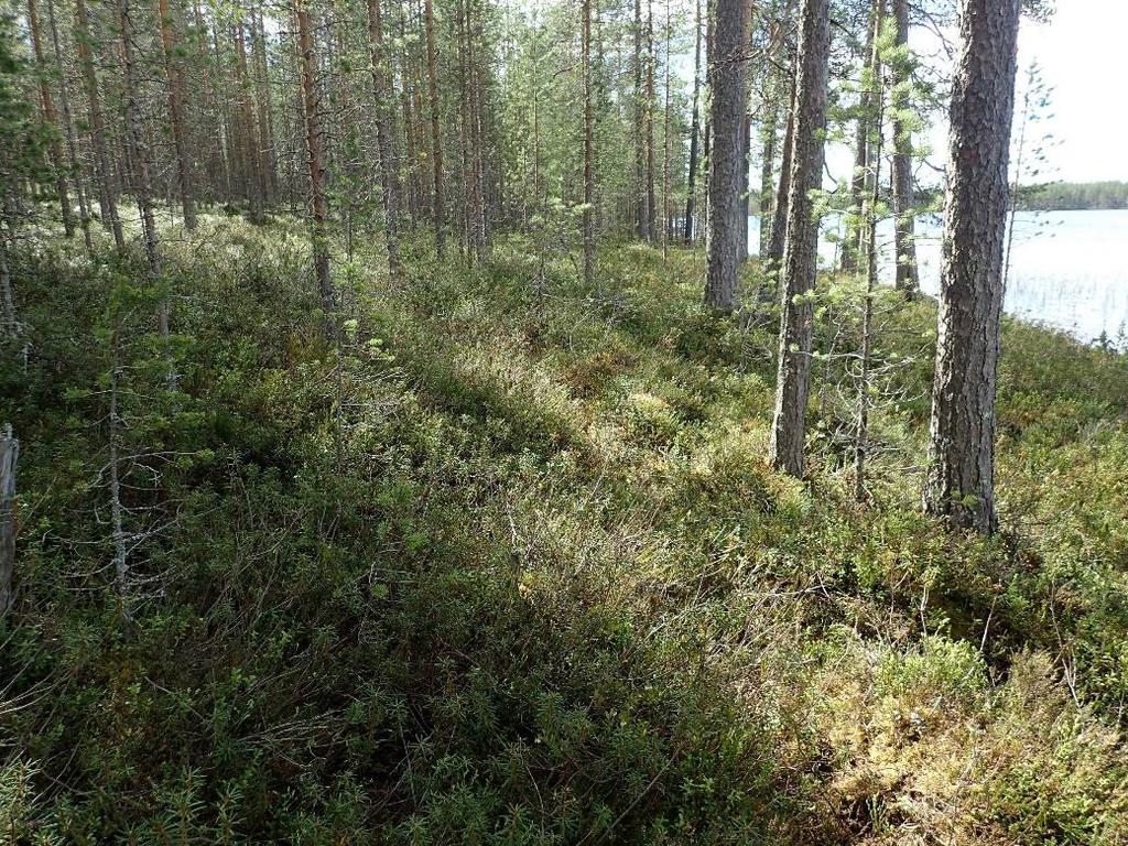 9 Hypäksen itälaidalle suunniteltujen