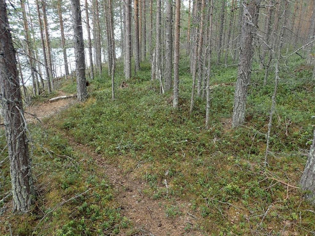 Hypäksen itälaidalle suunniteltujen