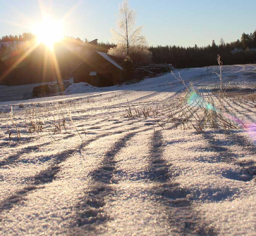 MAANPARANNUSKALKIN TOIMITUSPAIKAT SUOMESSA RAAHE KOKKOLA VIMPELI SIIKAINEN