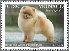 Monako Monako - Koira näyttely