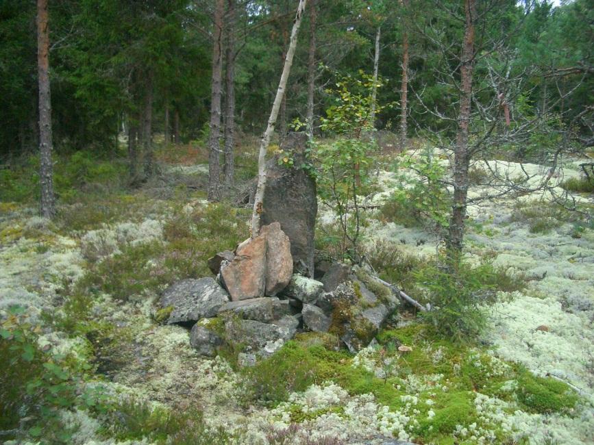 Alueella ei havaittu merkkejä muinaisjäännöksestä. Maasto on voimakkaasti sammaloituvaa kuusimetsää.