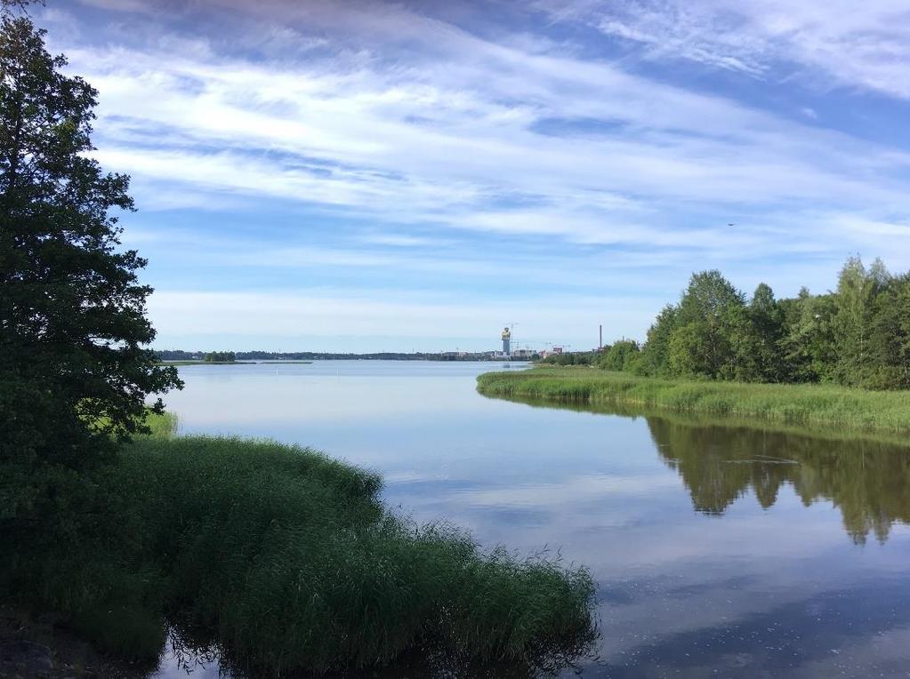 Merenhoitoa ja -suojelua määrittävät vuonna 2019 Hallitusohjelma Kansalliset Itämeri- ja